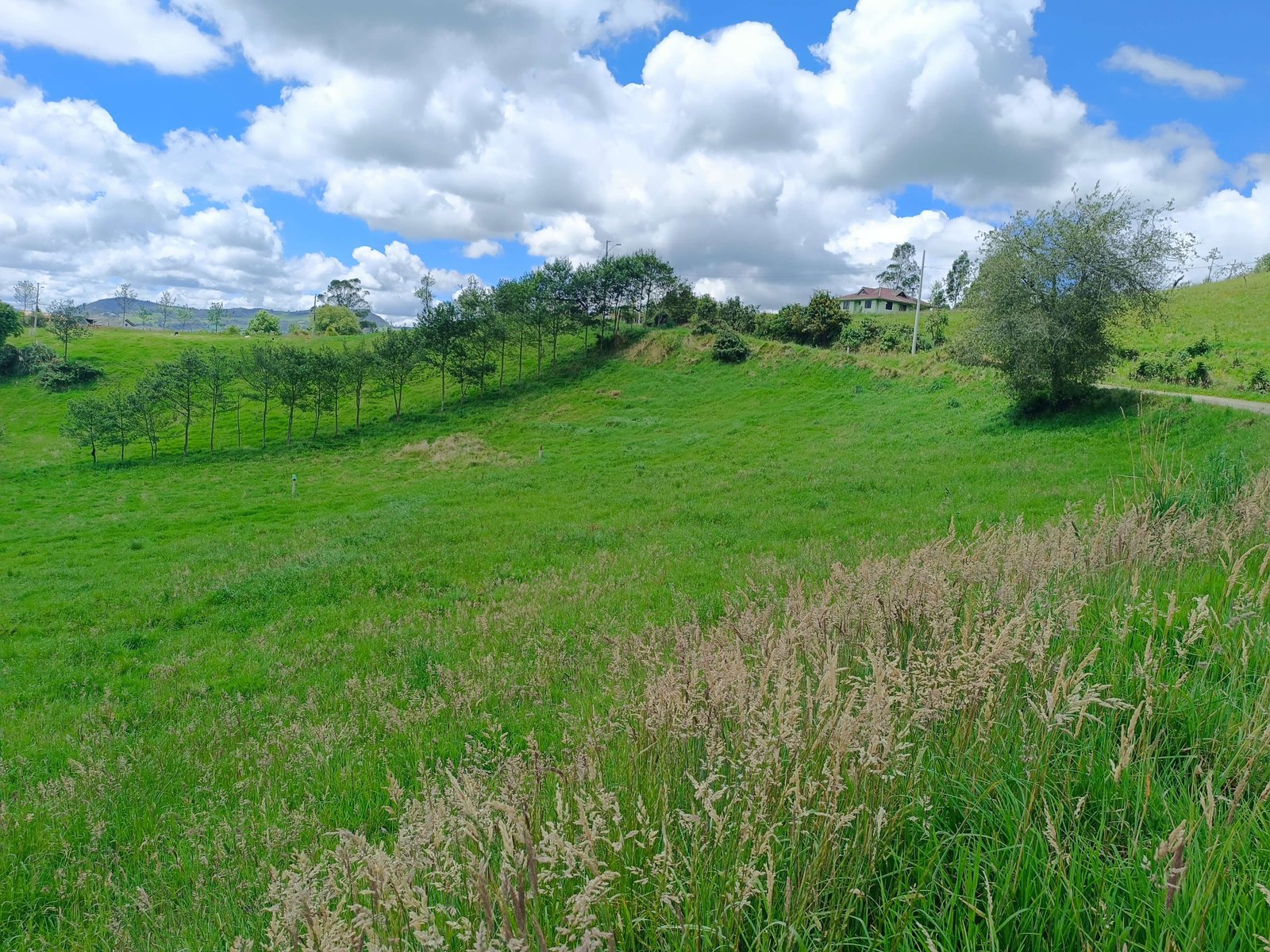 Propiedad de 1,2 Hectáreas Biblian