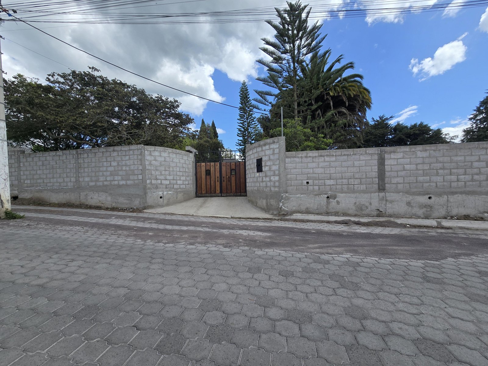 Imagen 4