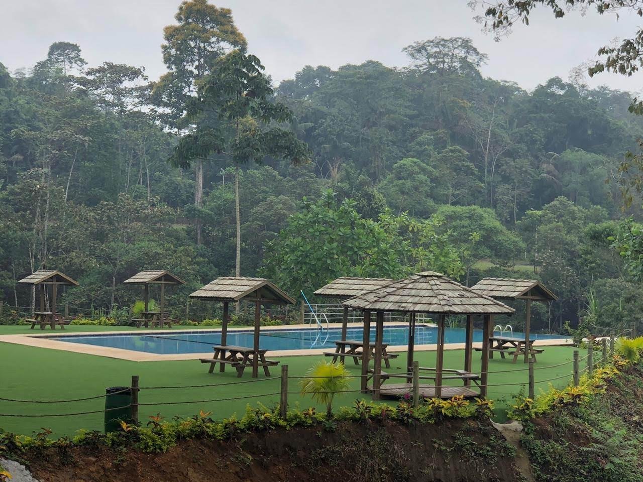 Miniatura 9
