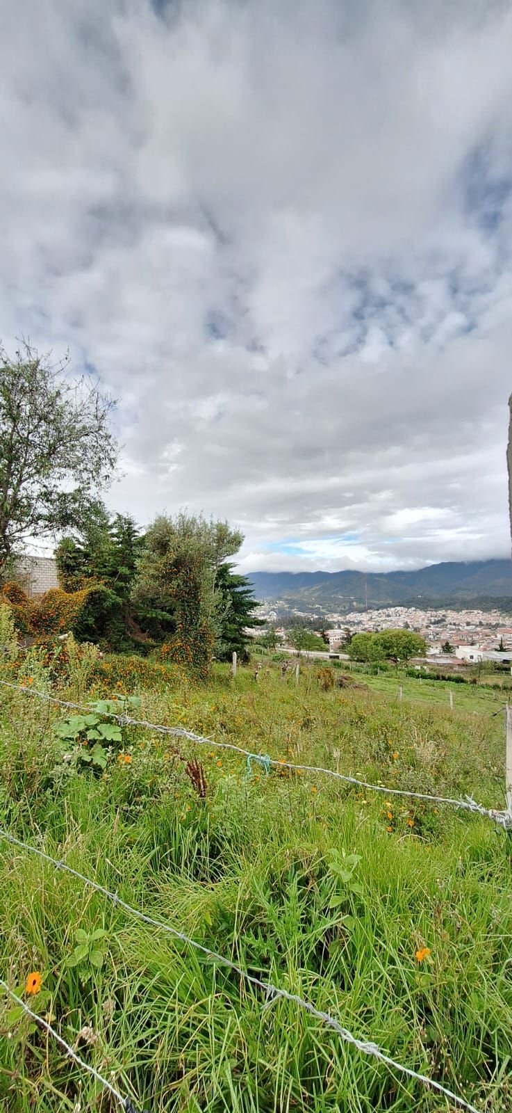 VENDO UN LOTE DE TRRENO UBICADO EN COLINAS LOJANAS