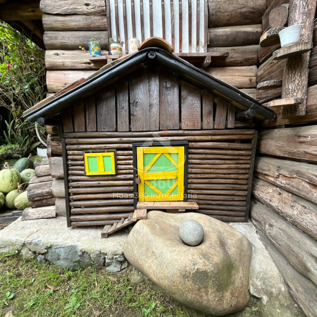 Miniatura 18